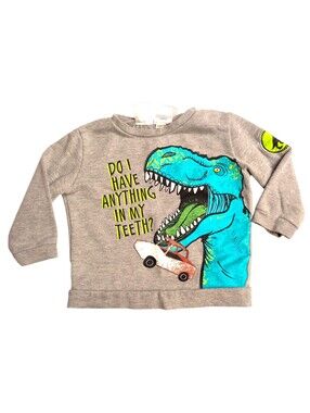 🍁2/$7🍁KIDGETS Gray Dinosaur Sweatshirt